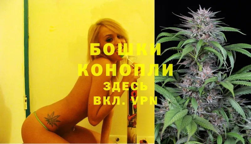 Шишки марихуана SATIVA & INDICA  наркошоп  Короча 